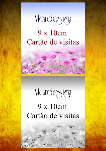 Cartão de visitas 02 - prata